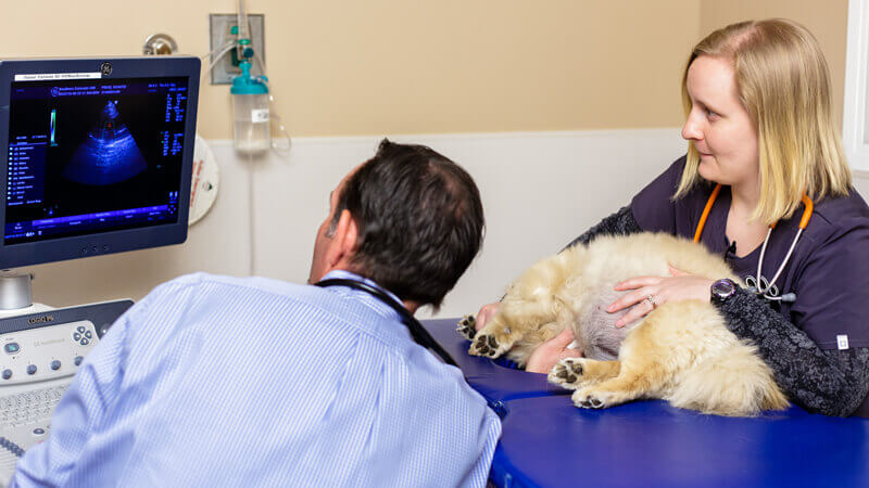 Ultrasound