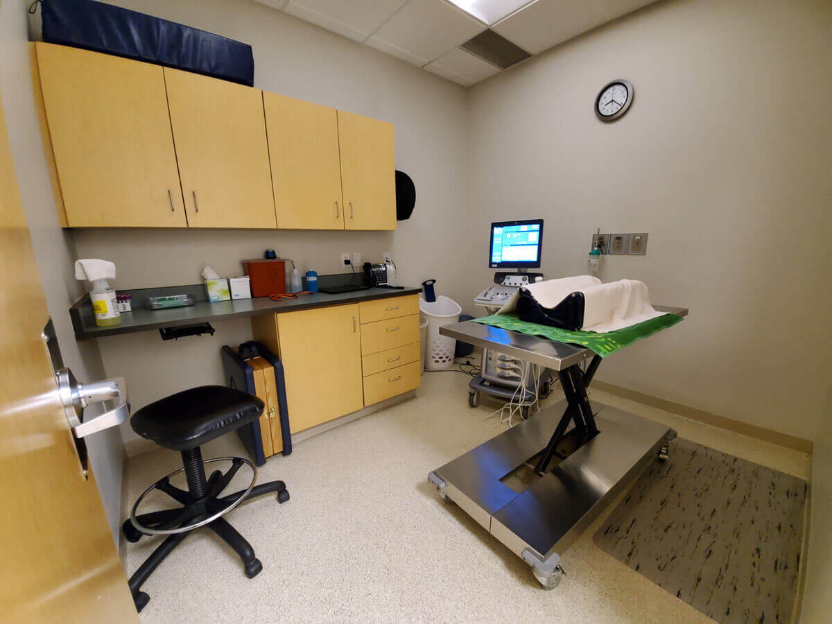 At SCVIM, we have two of private veterinary ultrasound rooms to assist our Veterinary Specialists with their patients